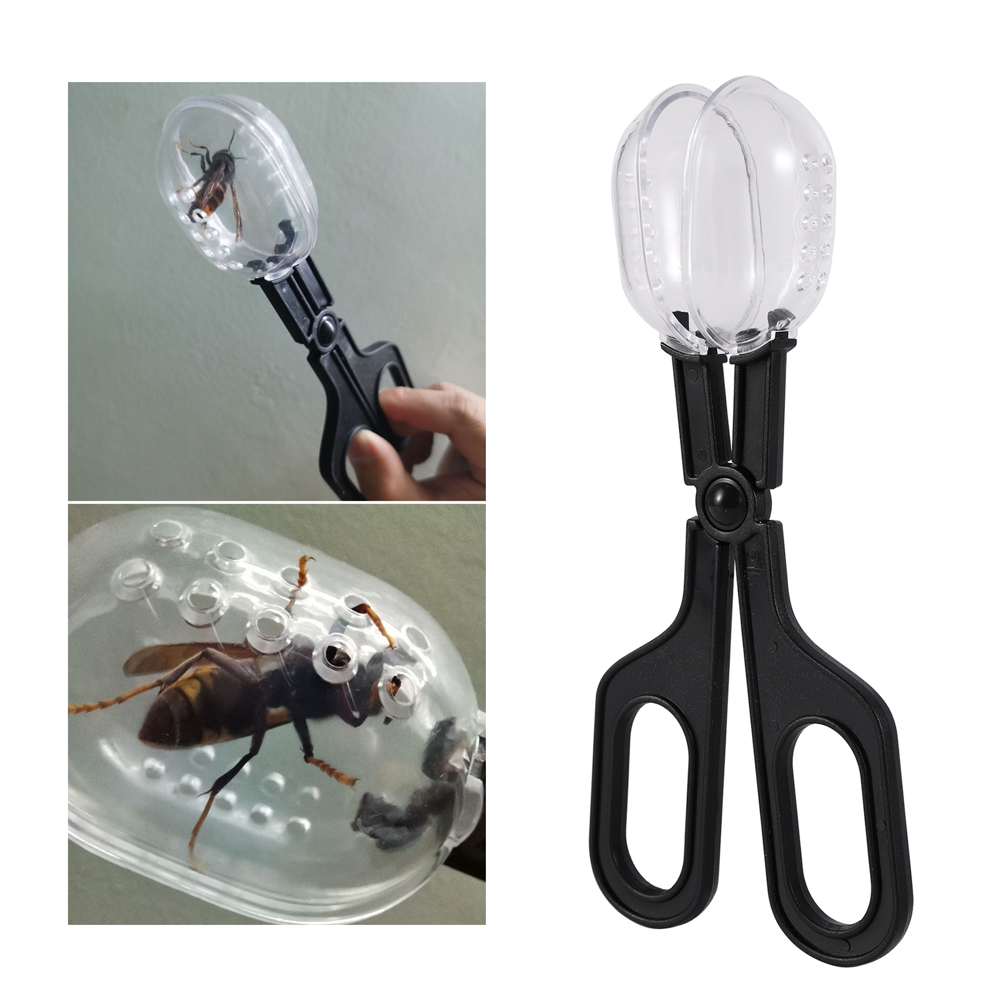 Home Security Fence - Bee Catching Clip Bee Queen Transfering