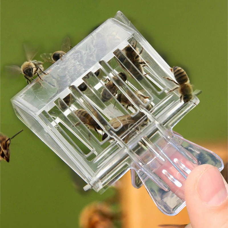 Beekeeper Bee Cage Beehive Hon - Home Security Fence review and price