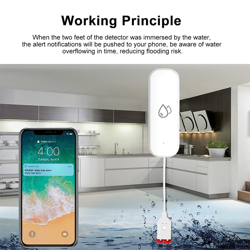 Tuya WiFi Water Leakage Alarm  - Home Security And Monitoring review and price