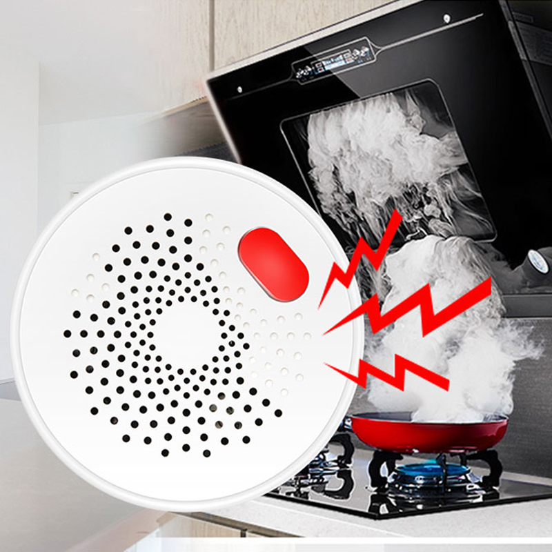 Tuya Smart Home Wifi Natural G - Home Security Tools review and price