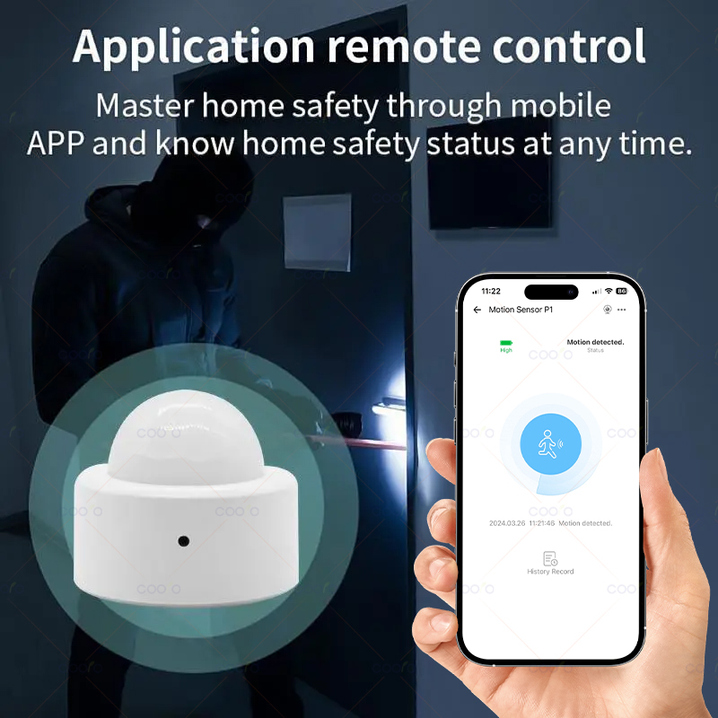 COOLO Zigbee 3.0 PIR Motion Se - Home Security Tools review and price